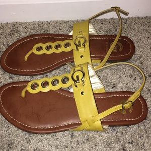 👑G by Guess Sandals